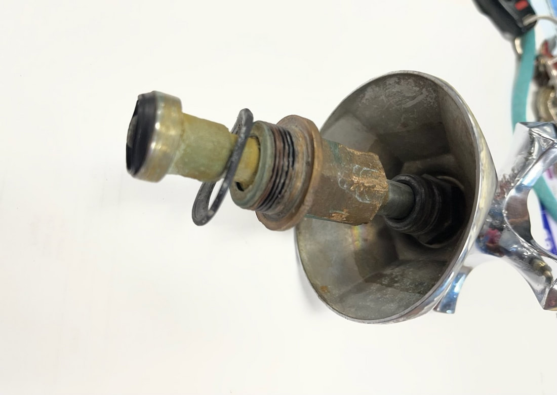 mystery stem
